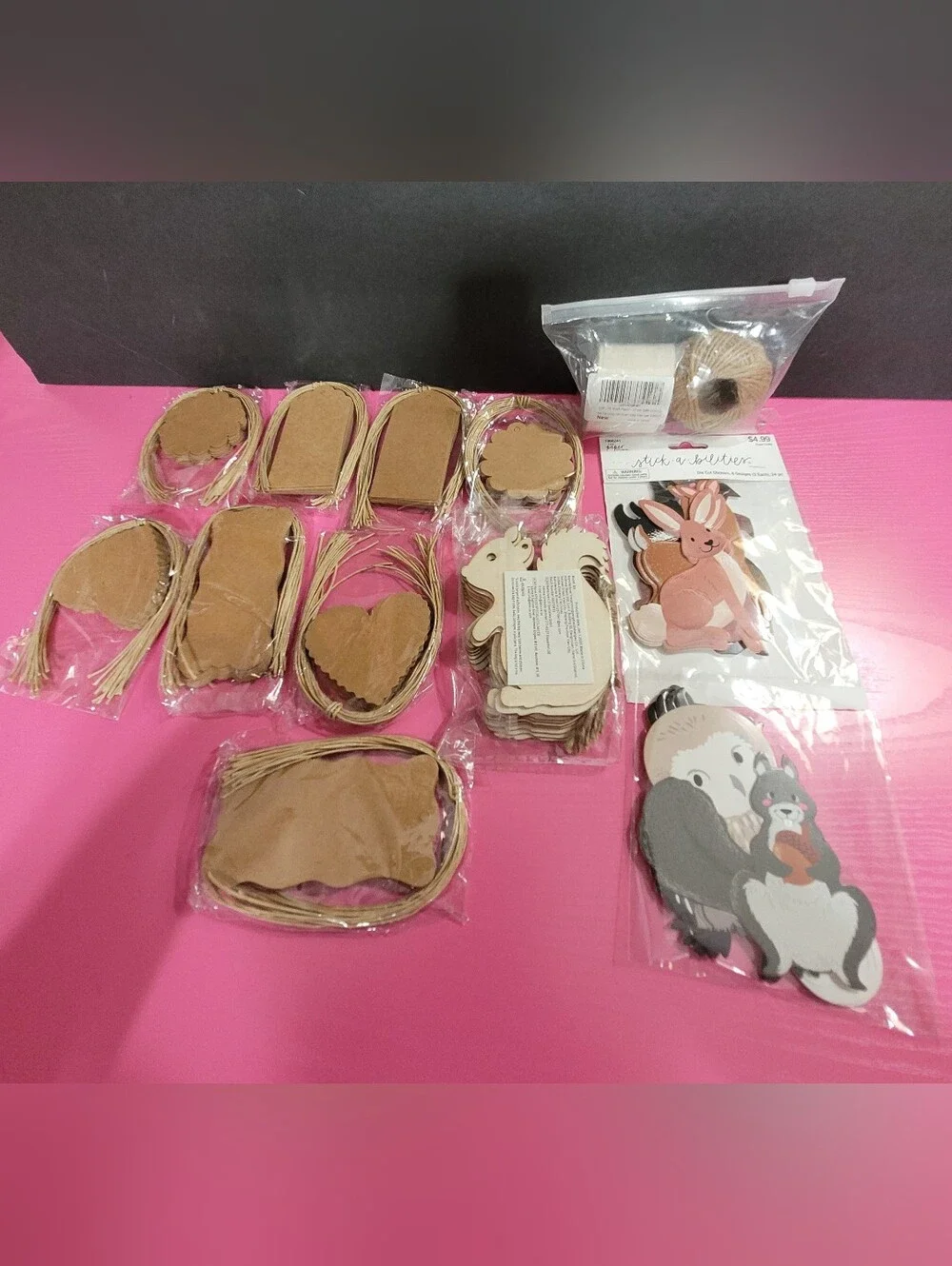 Bundle Craft Supplies Tags Wooden Squirrel Cutouts Stickers (1634)